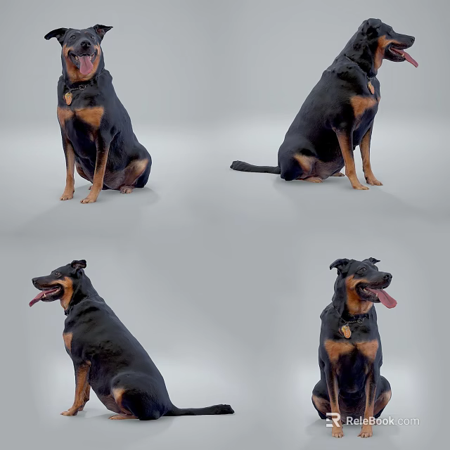 Reptile In Various Poses Showing Detailed Skin Texture And Natural Features 3d model 