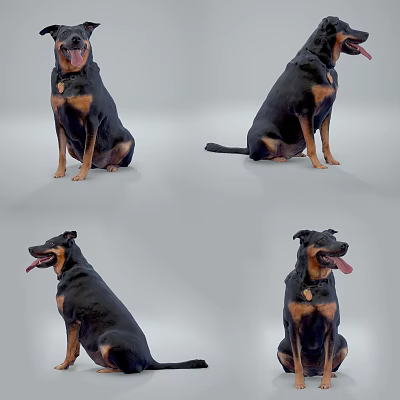 Modern Dog Wolfhound 3d model Modern Dog Wolfhound 3d model