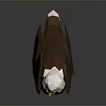 Low Poly Eagle Model With White Head Yellow Beak Claws Brown Body On Gray Background 3d model