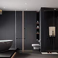 Modern Minimalist Bathroom With Black Bathtub Toilet And Glass Partition Shower Lighting Strips