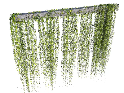 Elegant Lush Green Hanging Basket Plants With Trailing Vines And Foliage 3d model