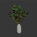 Fresh Green Leafy Plant in White Textured Vase on Gray Background