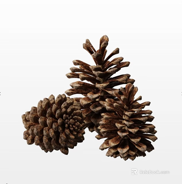 Closeup View Of Three Natural Brown Pinecones For Forest Decor And Craft Use 3d model 