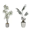 Two Indoor Potted Plants In White Pots With Decorative Frame Wall And Wooden Floor