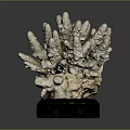 Natural Coral Sculpture With White Gray Texture On Black Wooden Base
