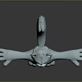 3D Cartoon Wolf Character With Big Eyes Gray White Fur Arms Outstretched For Game Animation