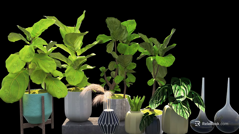 Lush Bonsai Potted Plants With Green Leaves In Various Stylish Ceramic Pots 3d model 