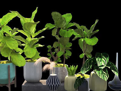 Lush Bonsai Potted Plants With Green Leaves In Various Stylish Ceramic Pots 3d model