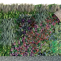 Decorative Living Plant Wall With Diverse Green Plants And Colorful Flowers