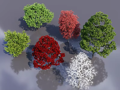 Colorful Arbor Trees with Green Red and White Foliage in Diverse Natural Shapes 3d model