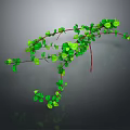 Green Vine Plant With Long Branches And Small Green Leaves On Gray Background With Reflection