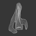 Medical Device 3D Skeletal Structure Model for Anatomical Education and Surgical Planning
