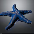 Blue Starfish With White Spots On Textured Surface Against Dark Background