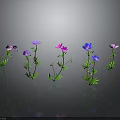 Colorful Flowers with Green Stems and Leaves on Gray Background with Reflective Surface