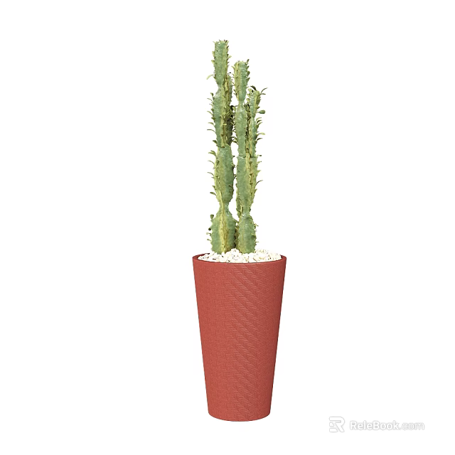 Elegant Cactus Bonsai Potted Plant in Red Textured Pot with White Pebbles 3d model 