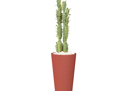 Elegant Cactus Bonsai Potted Plant in Red Textured Pot with White Pebbles 3d model