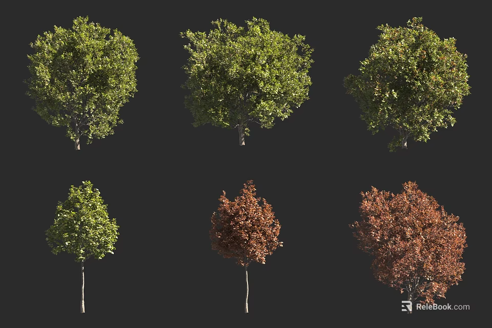 Diverse Tree Varieties With Green And Reddish Brown Foliage Canopies 3d model