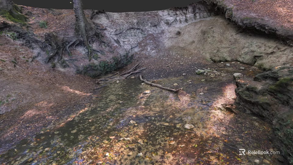 Botanical Painting with Tree Roots Stream and Fallen Leaves in Forest Scene 3d model 