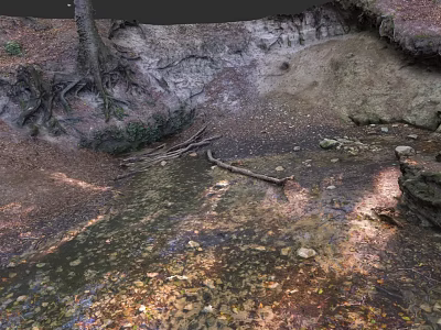 Botanical Painting with Tree Roots Stream and Fallen Leaves in Forest Scene 3d model