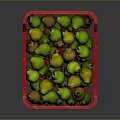 Fresh Ripe Pears in Red Plastic Crate Full of Green and Yellow Fruits