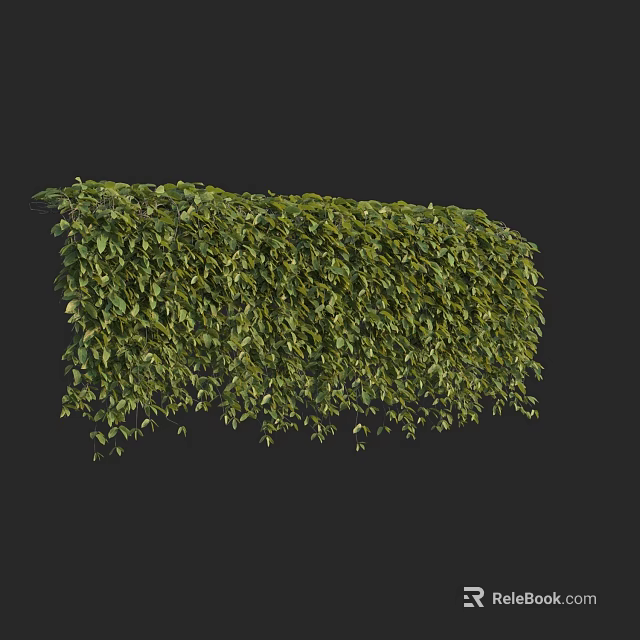 Lush Green Bush With Dense Green Leaves And Trimmed Shape In Black Background 3d model 