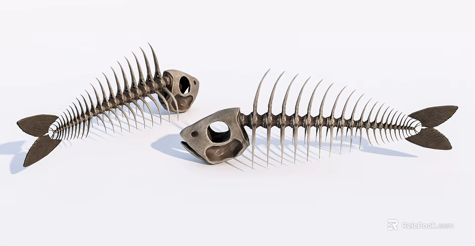 Artistic Fish Skeleton Decorative Ornament Set With Unique Design For Home Decor 3d model 