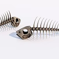 Artistic Fish Skeleton Decorative Ornament Set With Unique Design For Home Decor