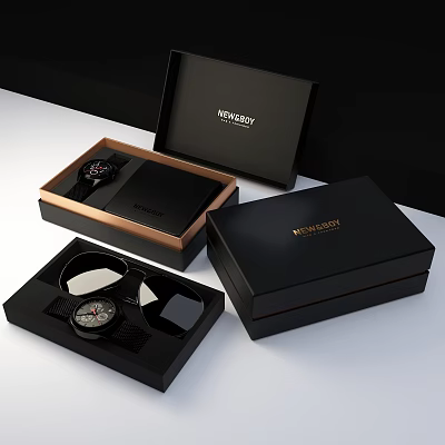 Modern Packaging Box Watch Packaging Box 3d model