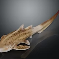 Spotted Shark Featuring Light Brown White Dorsal Fins Tail Fin On Dark Background With Reflection