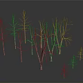 Leafless Trees With Slender Trunks In Dark Background And Ground Reflections