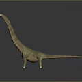 Realistic Long Neck Dinosaur 3D Model With Gray Background And Detailed Texture 3d model