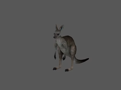 Reptile Standing On Gray Background In Studio With Natural Posture 3d model