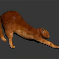 Orange Cat Stretching On Dark Surface With Smooth Fur And Reflection 3d model