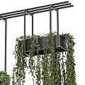 Lush Hanging Basket Plants With Trailing Green Vines And Indoor Decorative Accents