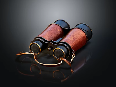 Commercial Binoculars With Leather Cover And Brass Metal Parts On Black Reflective Background 3d model