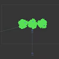 Three Trees in a Row with a Person Standing Next to the Middle One