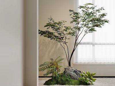 Indoor Natural Landscape with Tree Ferns Rock and Moss by Window with Soft Light 3d model