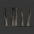 Natural Scene With Dead Tree Trunks On Circular Platforms Covered In Moss And Stones