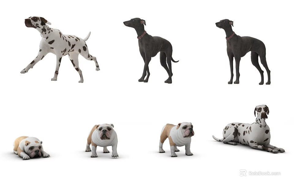 Diverse Reptile Species Displaying Various Poses And Standing Postures 3d model 