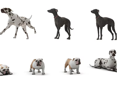 Diverse Reptile Species Displaying Various Poses And Standing Postures 3d model