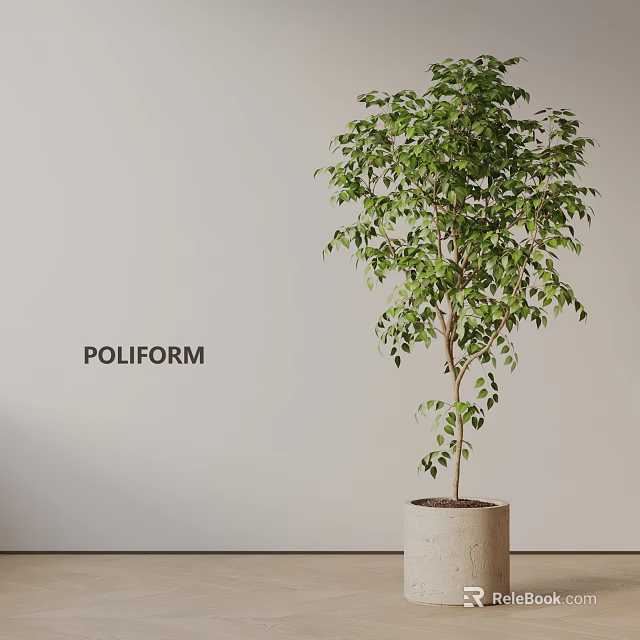 Indoor Potted Plant With Lush Green Leaves In Light Pot By Poliform On Light Wall 3d model 