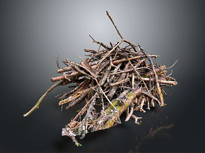 Natural Forest Floor Pile of Twigs and Tree Roots with Soil and Moss 3d model