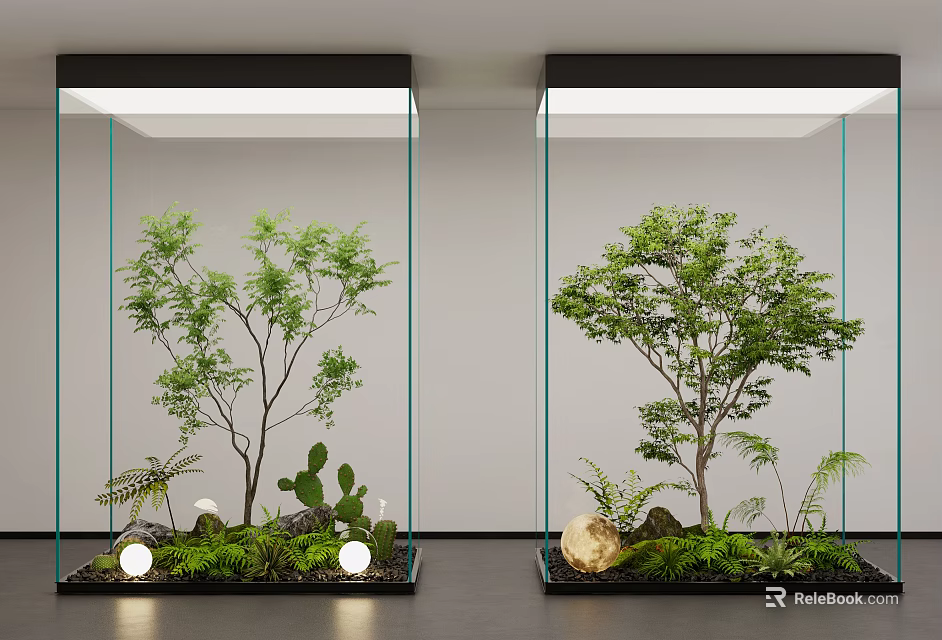 Indoor Landscape In Glass Containers With Small Trees Cactus Ferns Stones And Glowing Orbs 3d model 