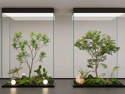 Indoor Landscape In Glass Containers With Small Trees Cactus Ferns Stones And Glowing Orbs 3d model