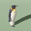 Penguin 3d model