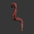 3D Medical Illustration of Human Intestinal Anatomy Model with Red Inflamed Areas