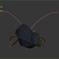Dwelling crab sea crab river crab hairy crab bread crab hermit crab big crab small crab 3d model