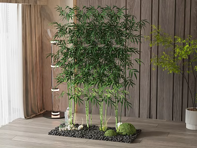 Bamboo Trees Indoor Decor With Wooden Wall Floor Pebbles And Small Green Plants 3d model