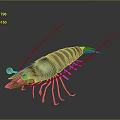Detailed 3D Rendered Shrimp Featuring Green Brown Stripes Long Antennae Transparent Body On Black Background