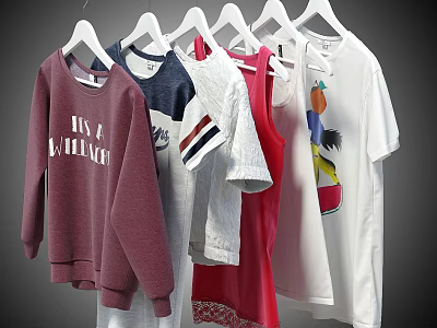 Clothes Hanging on Hangers Featuring Sweatshirt T-shirt Tank Top with Colorful Text and Graphic Prints 3d model